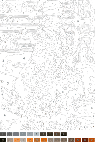 Розмальовка за номерами — капібара з апельсинами на голові в форматі А4