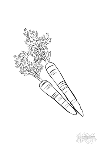 Розмальовка морква в форматі А4