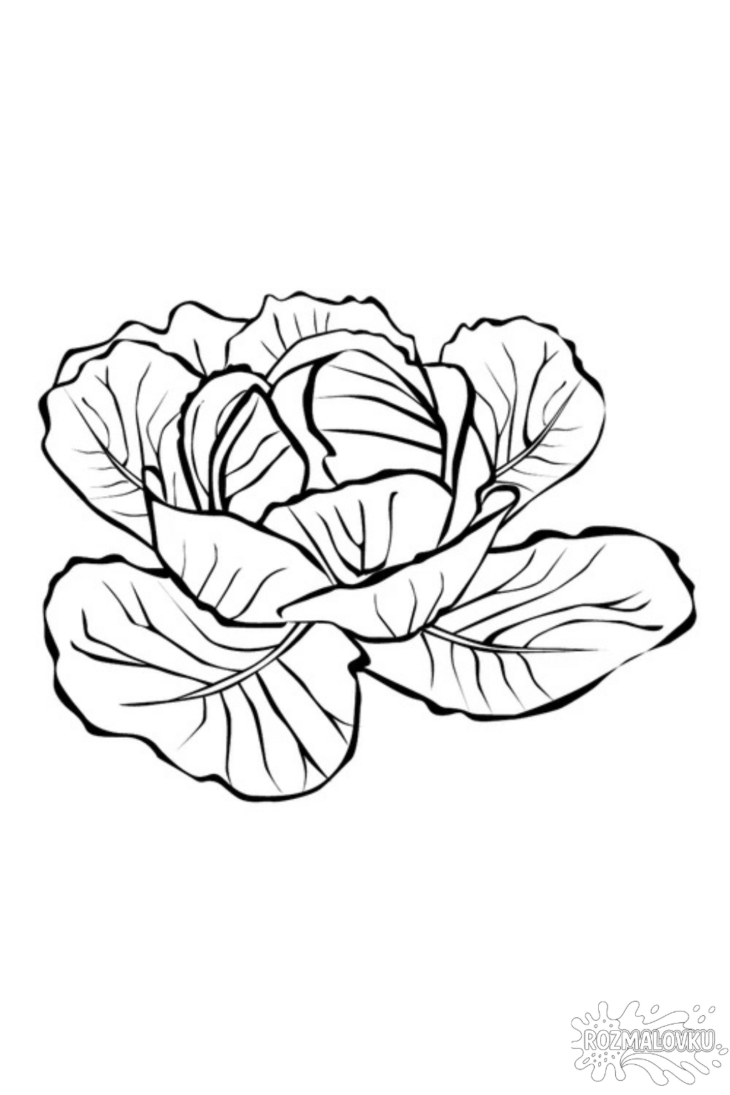 Розмальовка капуста в форматі А4