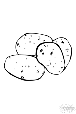 Розмальовка картопля в форматі А4