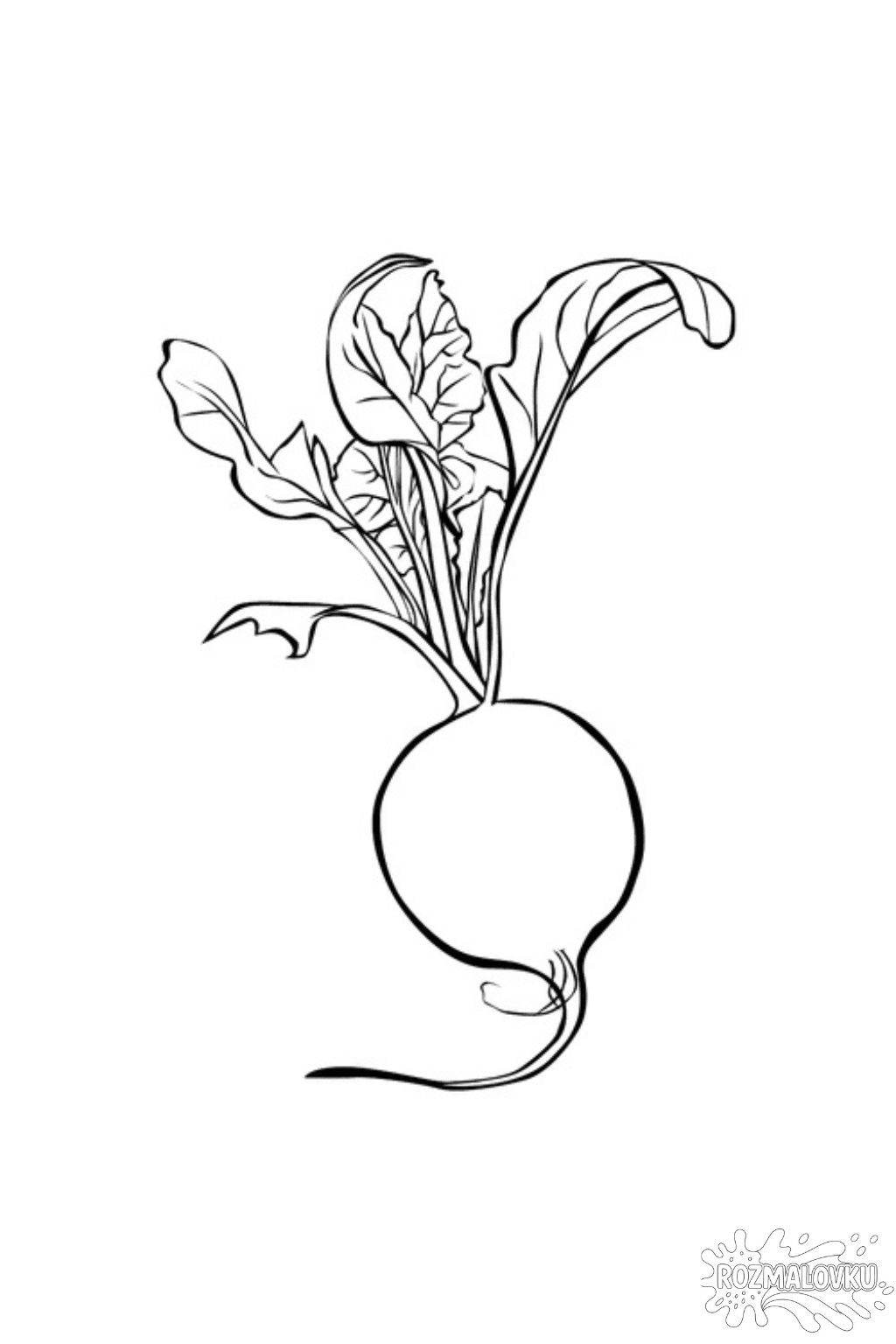 Розмальовка редиска в форматі А4