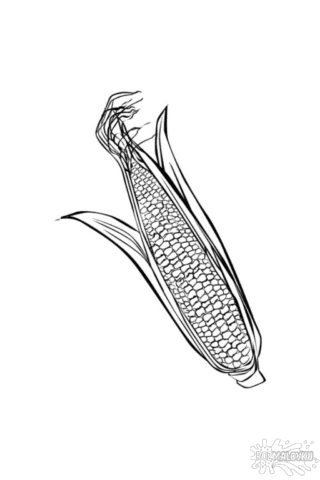 Розмальовка кукурудза в форматі А4