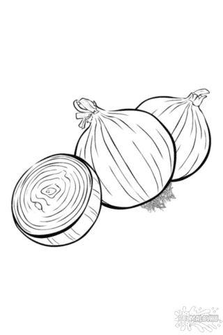 Розмальовка цибуля в форматі А4