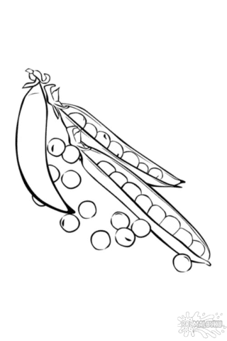 Розмальовка горох в форматі А4