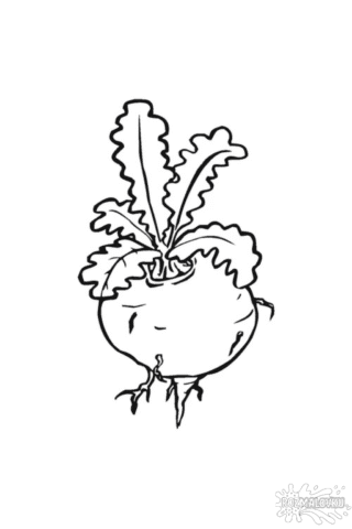 Розмальовка буряк в форматі А4