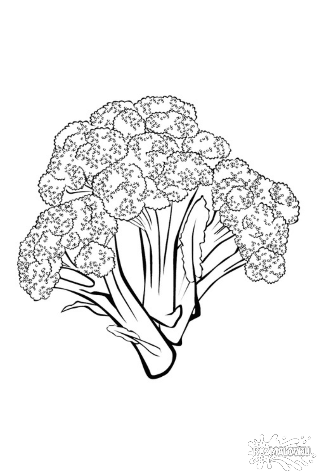 Розмальовка броколі в форматі А4