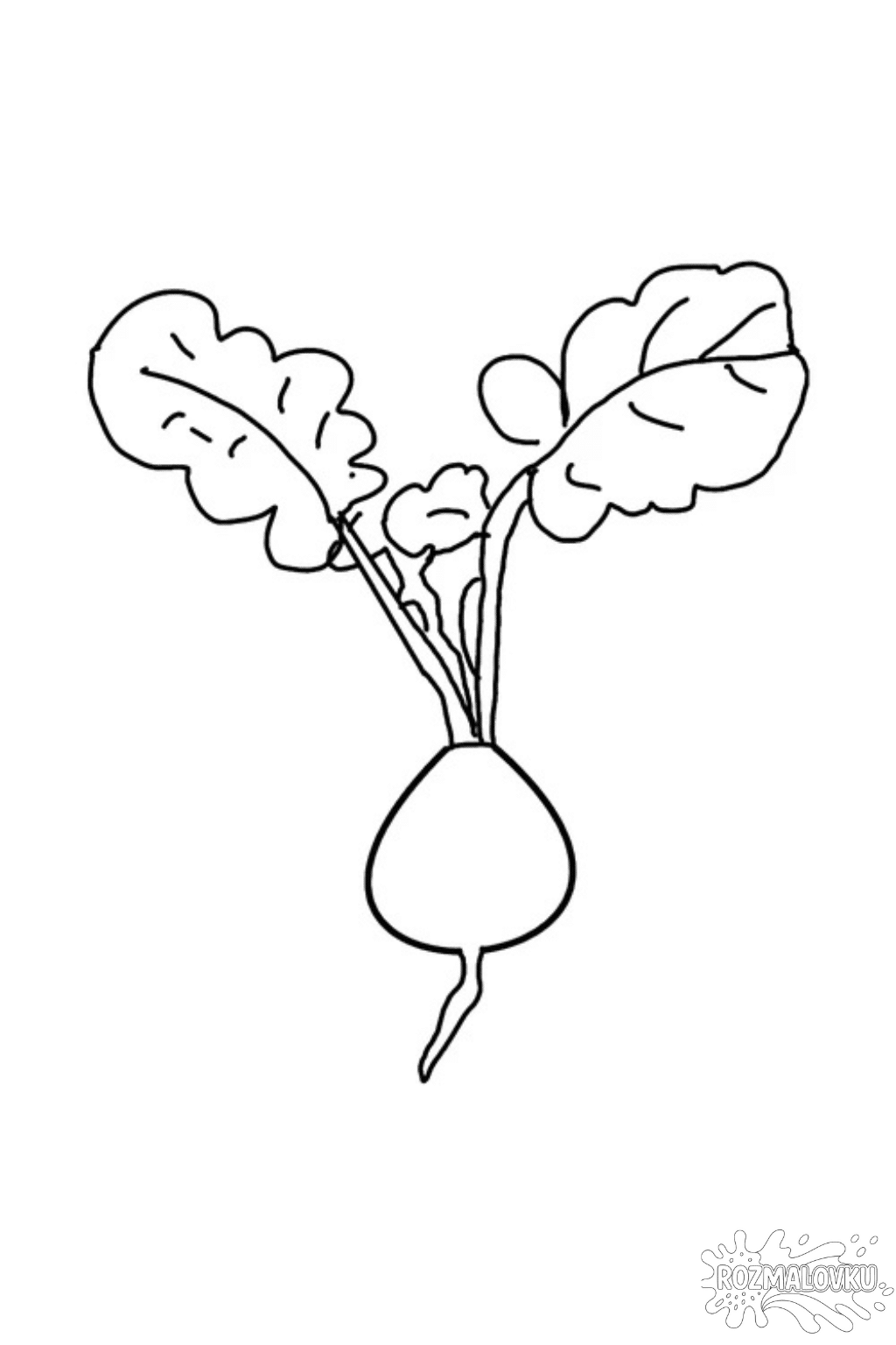 Розмальовка редька в форматі А4
