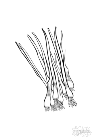 Розмальовка зелена цибуля в форматі А4