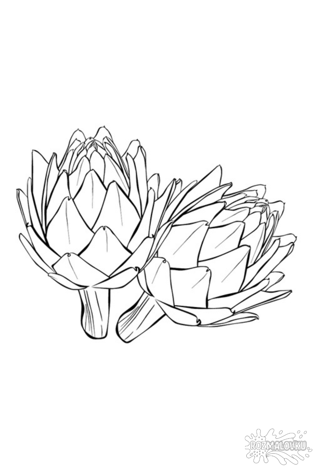 Розмальовка артишок в форматі А4 