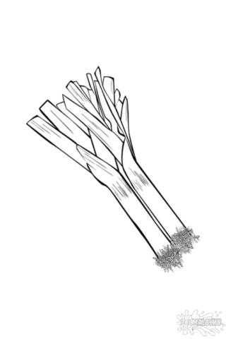 Розмальовка цибуля-порей А4