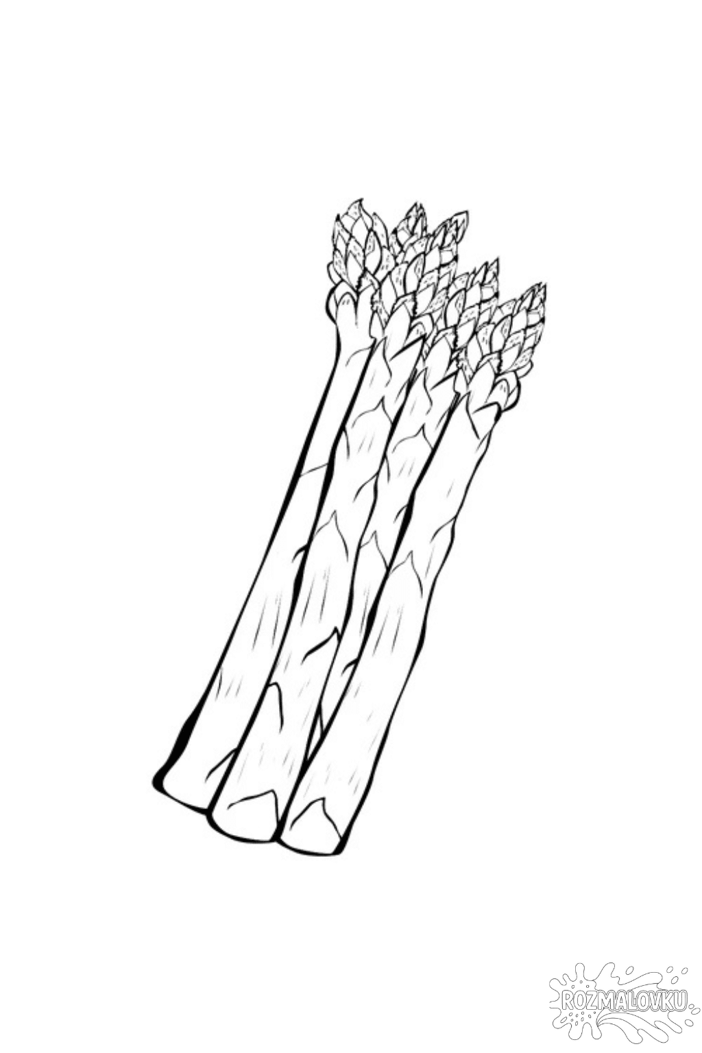 Розмальовка спаржа в форматі А4