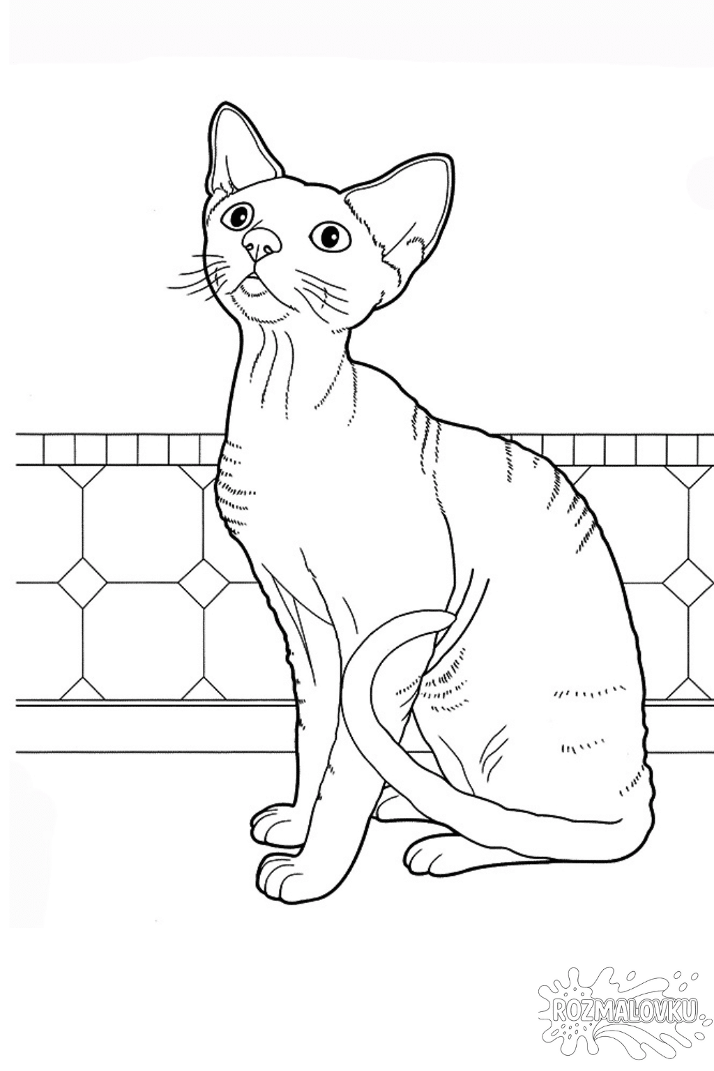 Розмальовка кіт сфінкс в форматі А4 для друку Розмальовка кіт сфінкс в форматі А4