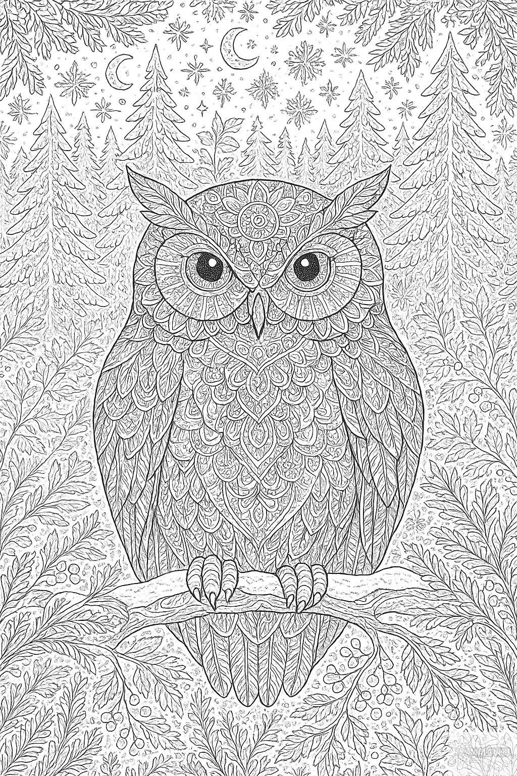 Зимова розмальовка антистрес з совою скачати та роздрукувати в форматі А4