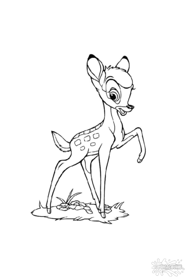Розмальовка «Бембі» скачати та роздрукувати у форматі А4