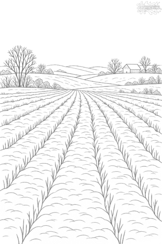 Зимова розмальовка з зимовим полем — скачати та роздрукувати в форматі A4