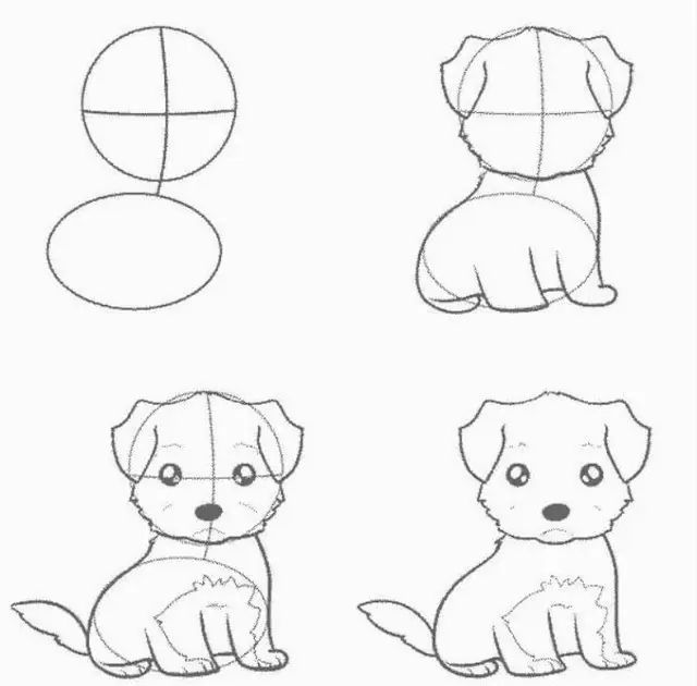 як намалювати сидячого щеня крок за кроком – проста схема з кола та овалу для дітей